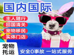 腾冲驼峰机场邮寄国际宠物托运 【国